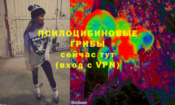дживик Баксан