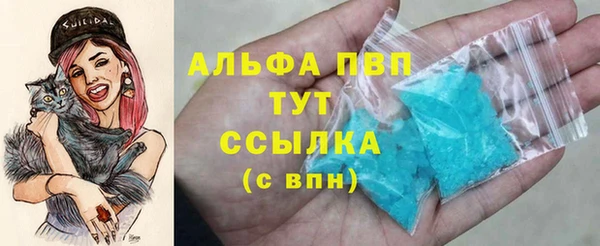 эйфоретик Белокуриха