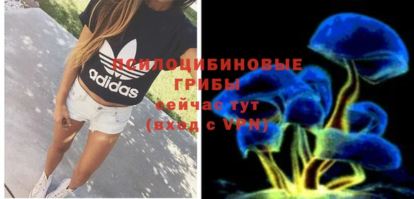 МДПВ Грязовец