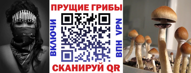 наркошоп  Нариманов  darknet какой сайт  Псилоцибиновые грибы ЛСД 
